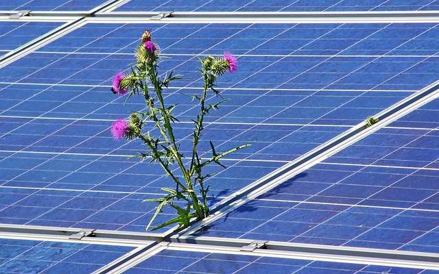 Panneau solaire pliable : une solution portable pour l’énergie verte